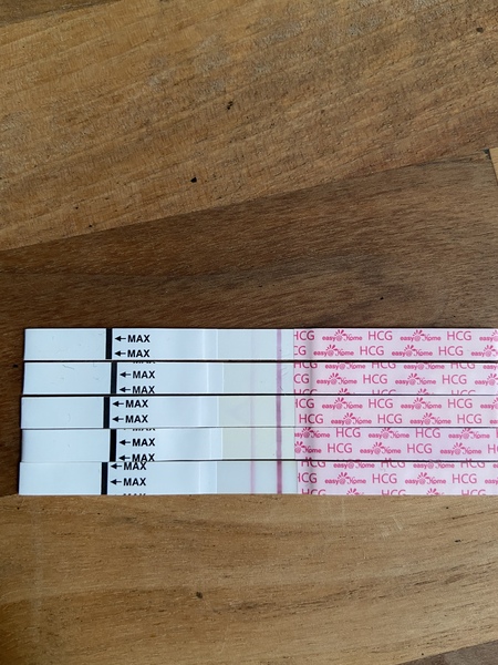 Due July/August 2022