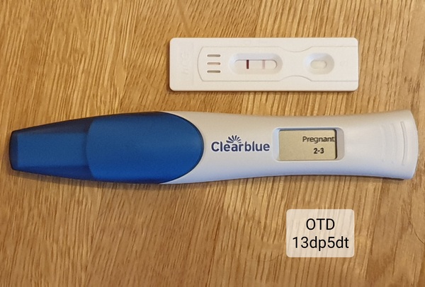 IVF/FET October/November 21 part 2