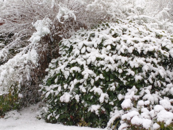 The mumsnet annual winter weather watch thread