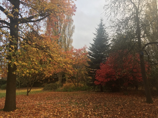 Any Witches Here? Part 15