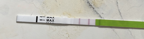 OPK negative or?