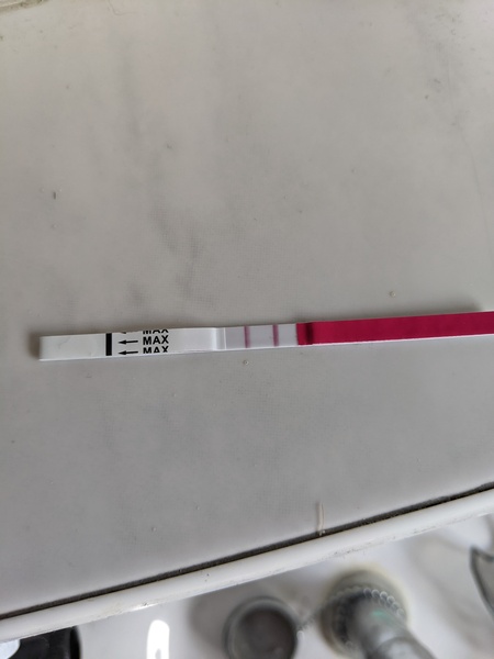 When did I ovulate?