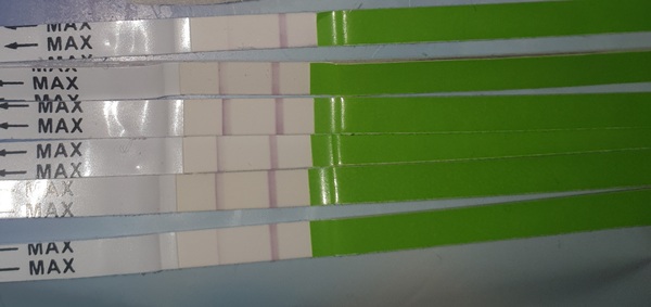 Cycle Day 1 - SMEP method?