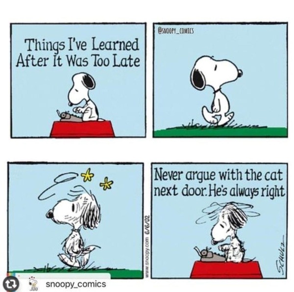 Things I learned too late in life