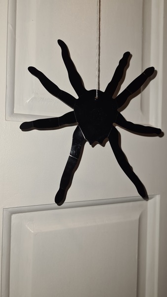 Help me dress up dd1's (Halloween decoration) spider?