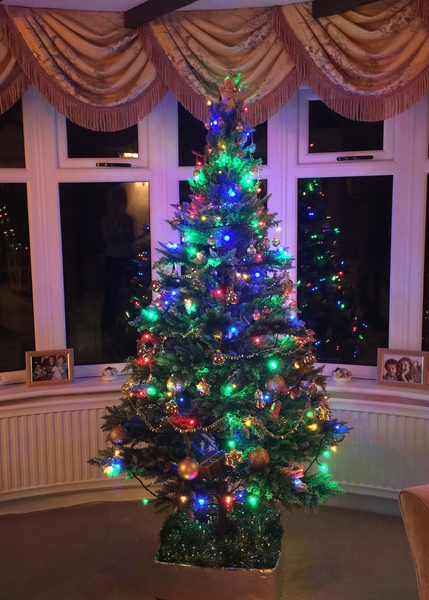 Swagger Inn 170. Autumn is here with a vengeance.  I think we'll just hide under the duvet --with HBFs-- until Spring.