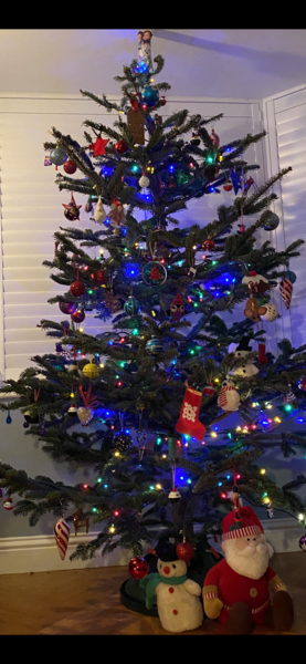 Are you one of this people with a perfect looking Christmas tree?