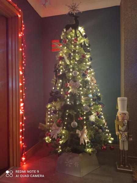 Tree lights 100 per ft