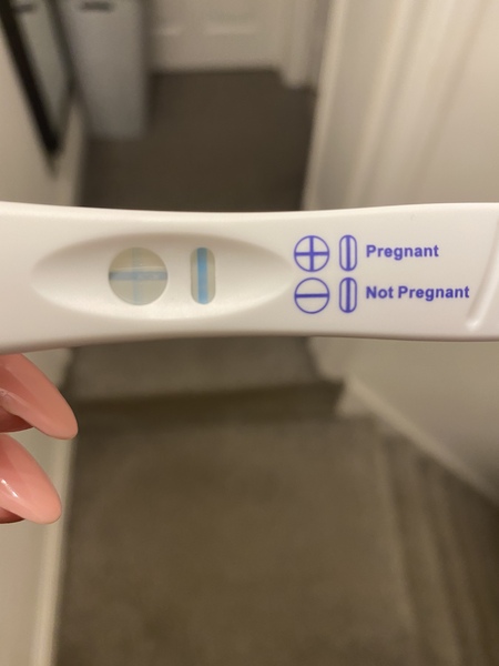 IVF October/November 2021