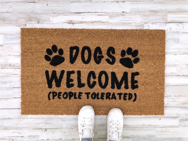 Gift ideas for dog loving lady?