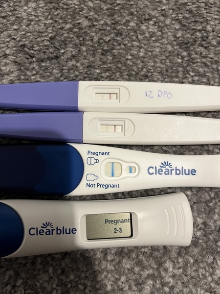 Due July/August 2022