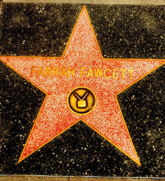 WawaWAG Land , Word Association Game