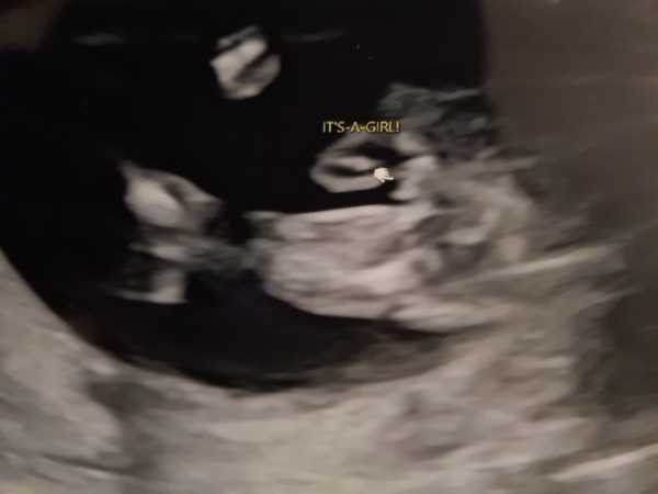 Due May 2022 (thread 3)