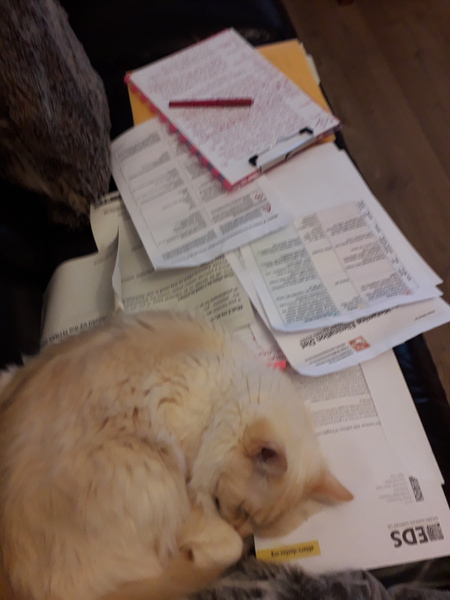 Chronic Pain- Daily chat drop in thread #2 All welcome