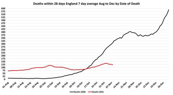 Data, Stats, Daily Numbers started 14th November 2021