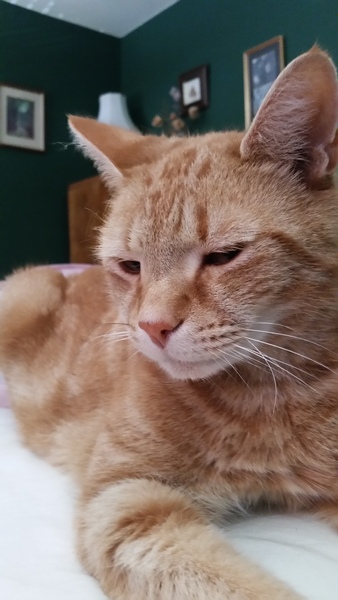 What a face
