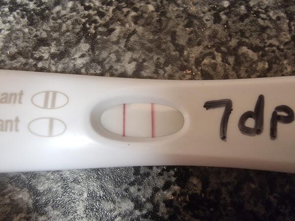 IVF/FET October/November 21 part 2