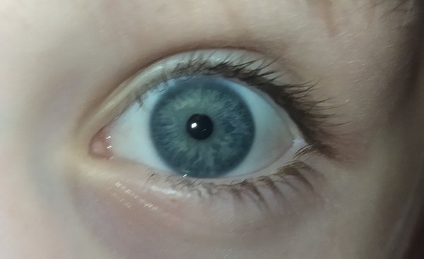 What colour would you say these eyes are?