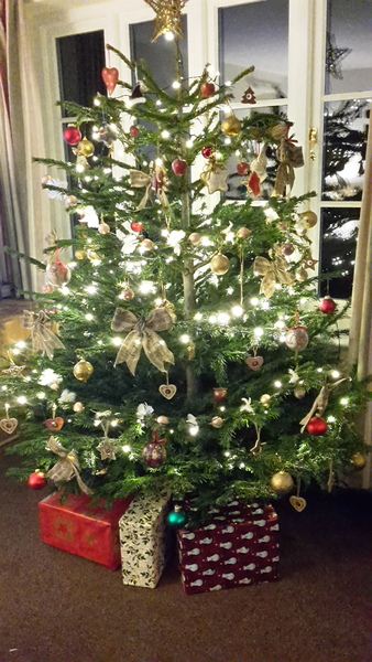 Are you one of this people with a perfect looking Christmas tree?