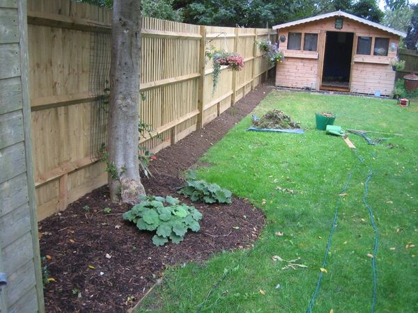 Neighbours messy jungle of a garden what can I do?