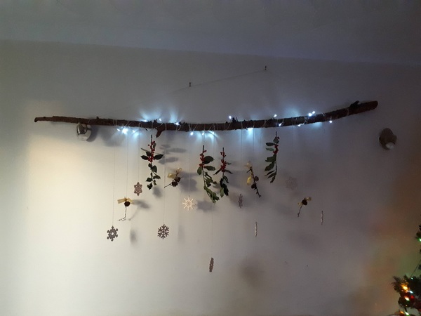 I dragged a branch home, what do I do with it?!