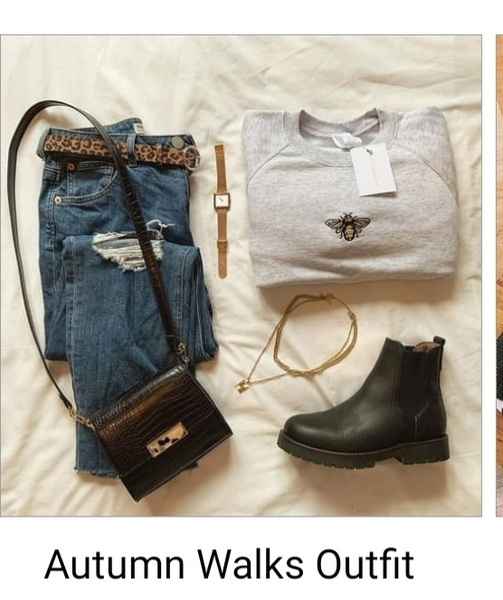 Outfit ideas laid out like this?