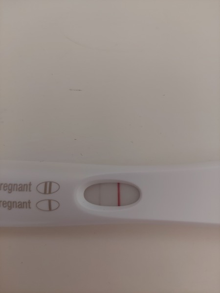 IVF October/November 2021