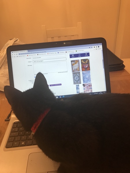 Does anyone else get this squatter activity?
