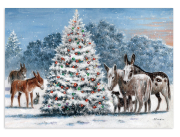 Christmas cards.... is it just me?