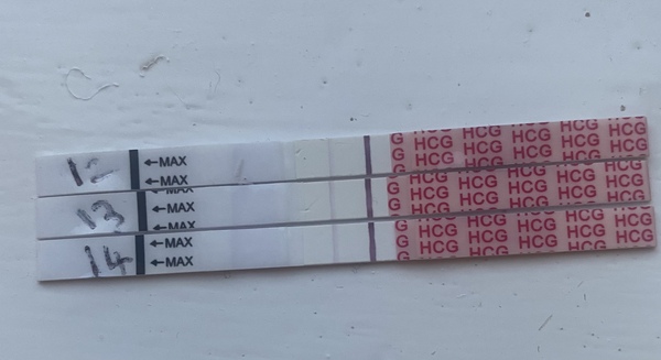 7 high days opk no peak yet!