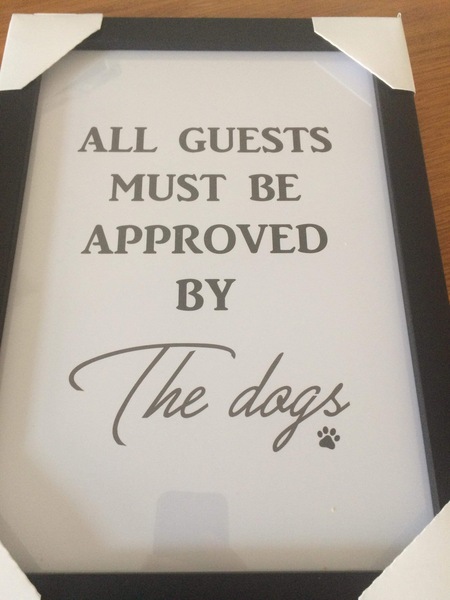Gift ideas for dog loving lady?