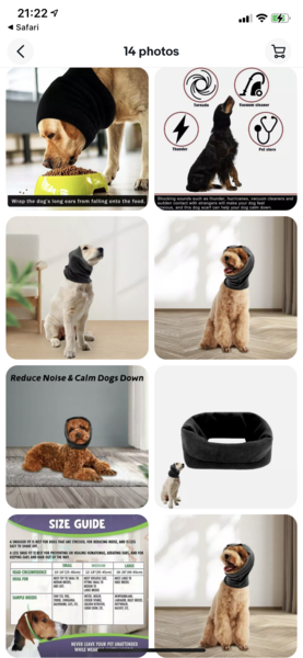 Tip For Dogs Frightened By Fireworks