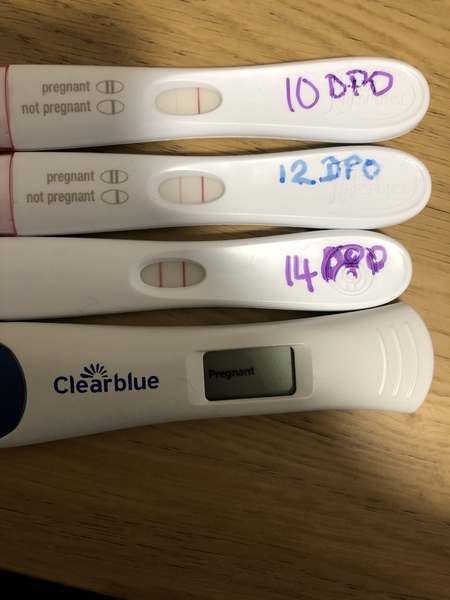 Due July/August 2022