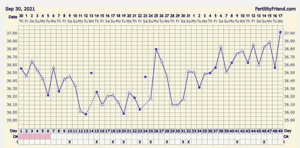Low bbt in luteal phase