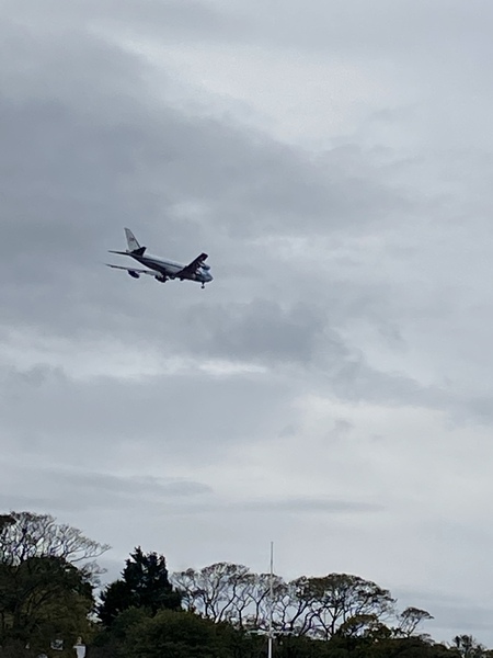 Any flightradar 24 geeks?