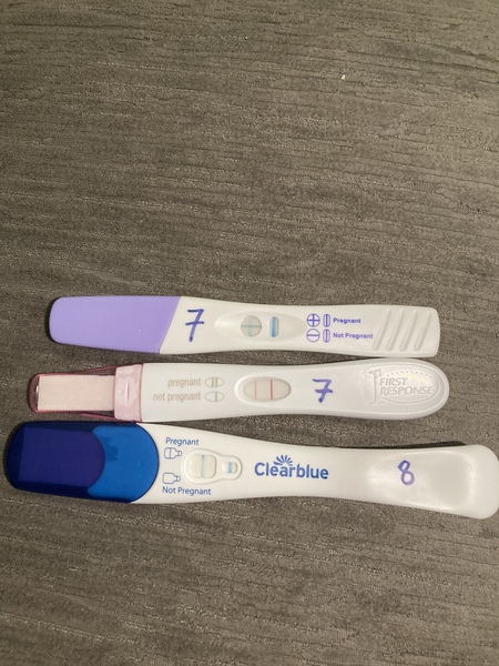 IVF October/November 2021