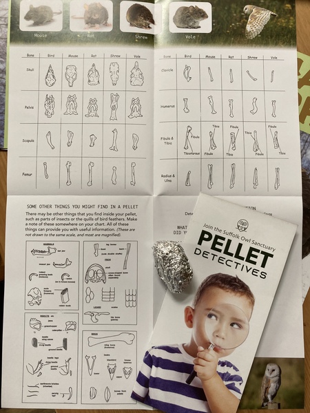 Thread 18 - the one with the owl pellets