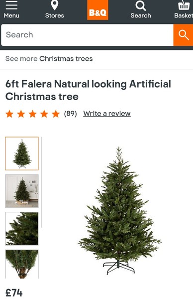 Recommend me a decent tree!