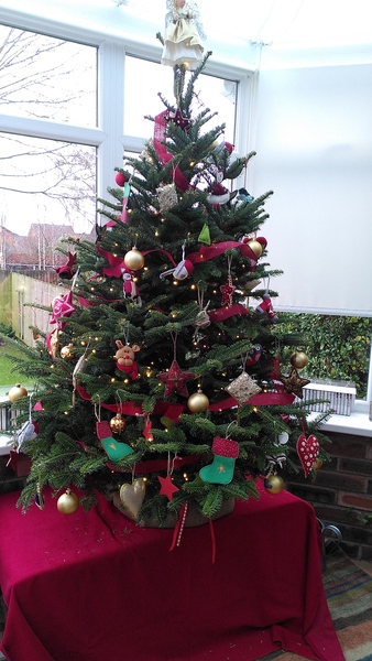 Are you one of this people with a perfect looking Christmas tree?