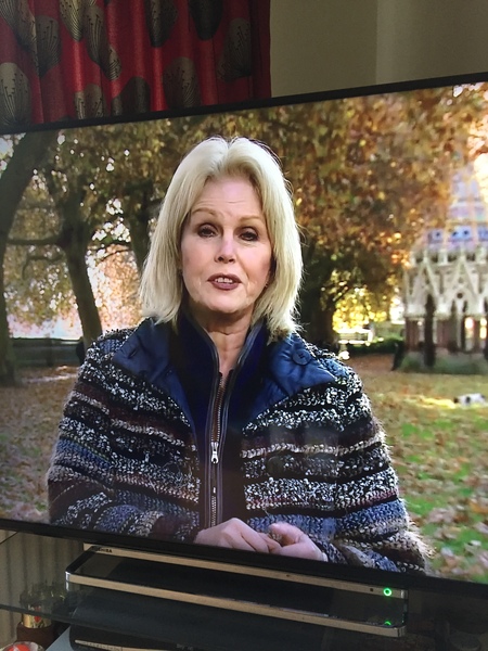Joanna Lumley’s coat