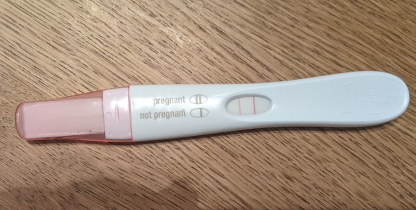 1bb embryo