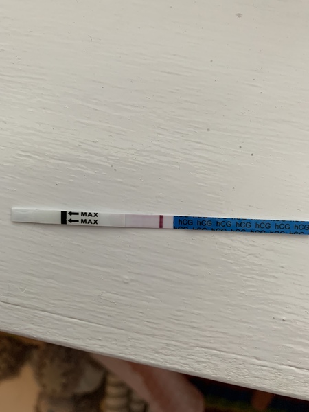 BBT?