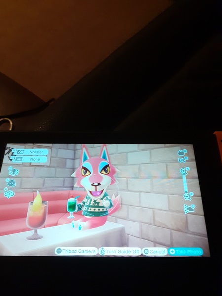 Animal Crossing Seven: where we all drink too many brews