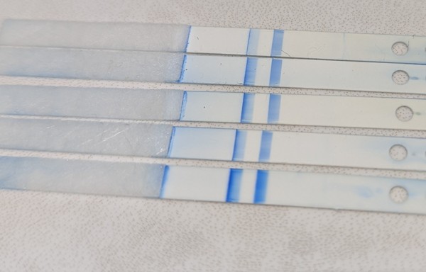 CB Weeks indicator - any success stories?