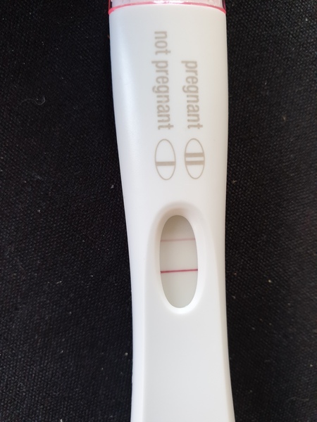 IVF/FET October/November 21 part 2
