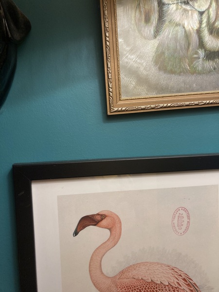 Best Teal Paint please