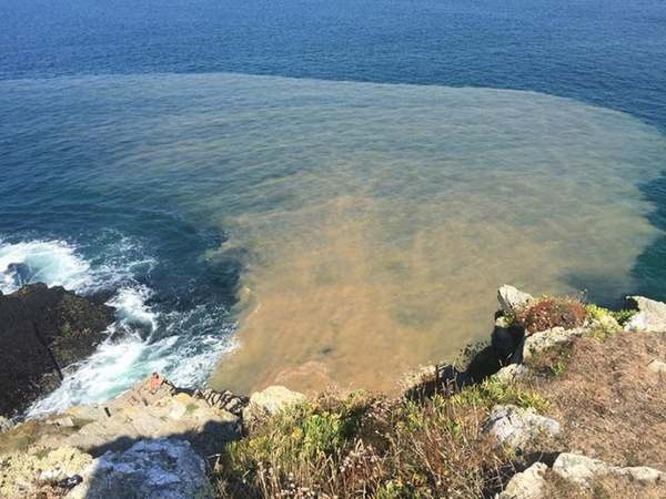 Sewage discharges into UK's rivers and beaches soar by 88% in past 12 months.