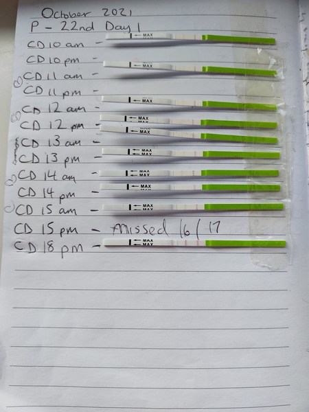 Ladies help messed up my opk's .. do you think I'm covered ?