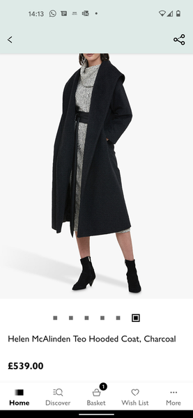 Winter coat - hooded but not dog walking look