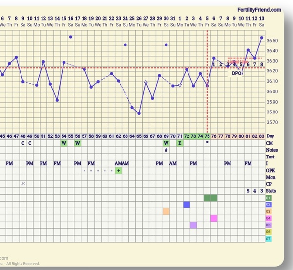 Have I ovulated?